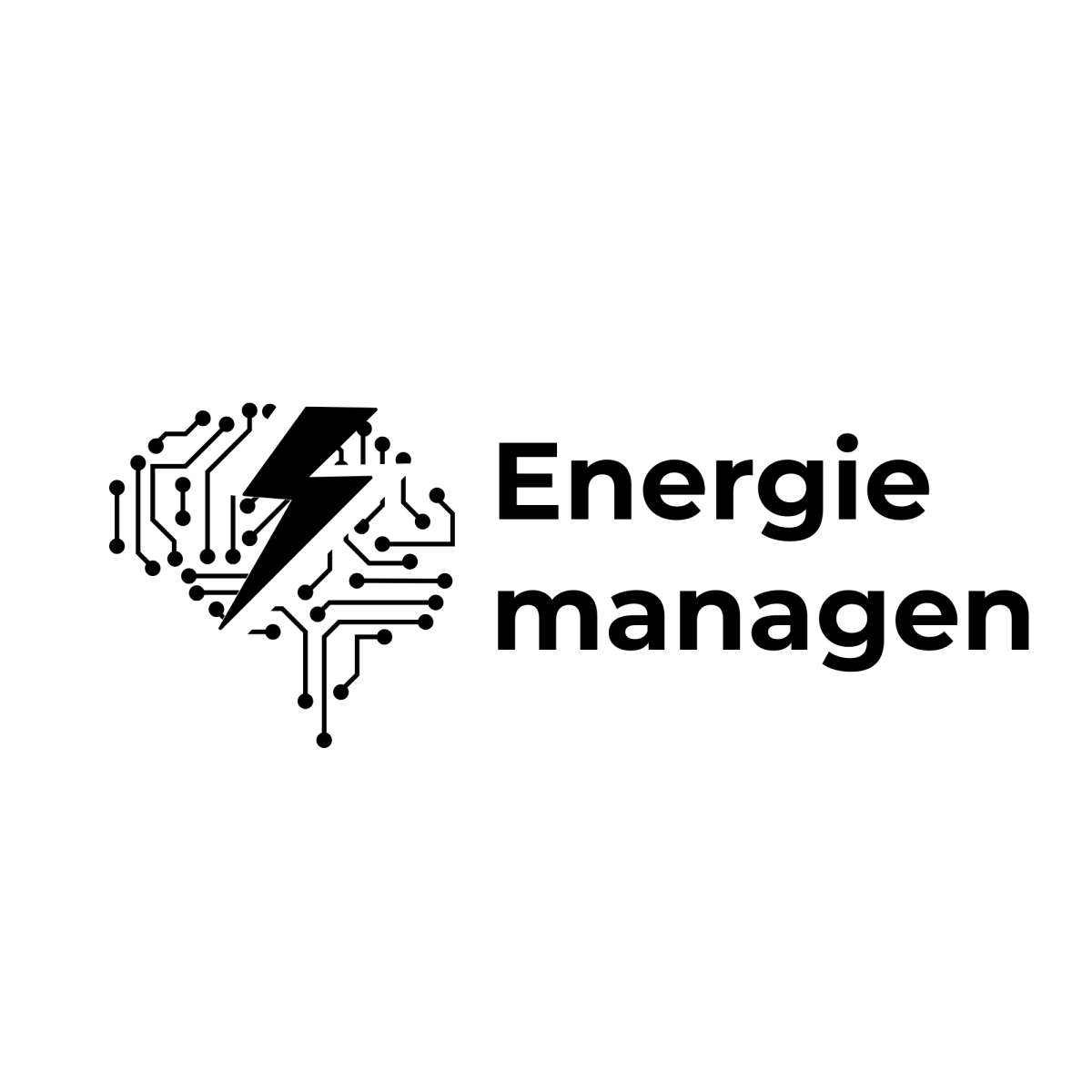 Energie managen - Energiemanagementsysteme